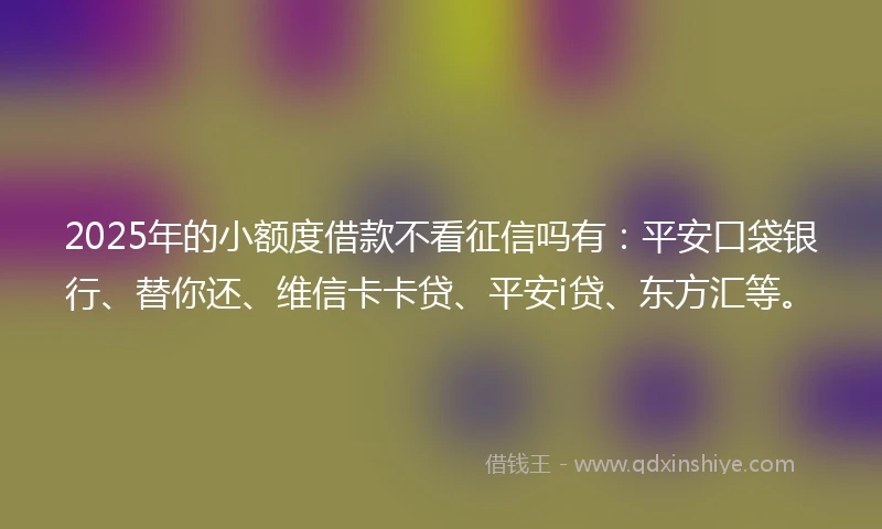 2025年的小额度借款不看征信吗有：平安口袋银行、替你还、维信卡卡贷、平安i贷、东方汇等。