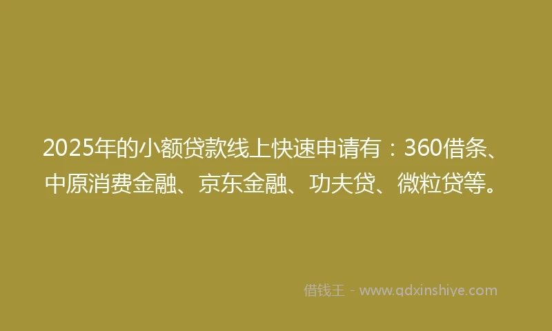 2025年的小额贷款线上快速申请有：360借条、中原消费金融、京东金融、功夫贷、微粒贷等。