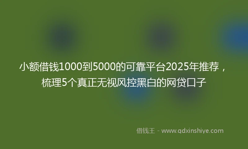 小额借钱1000到5000的可靠平台2025年推荐，梳理5个真正无视风控黑白的网贷口子