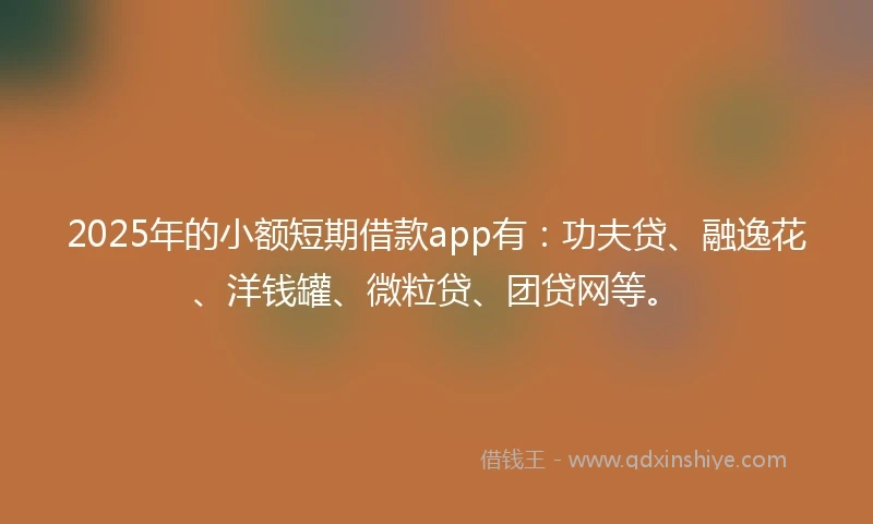 2025年的小额短期借款app有：功夫贷、融逸花、洋钱罐、微粒贷、团贷网等。