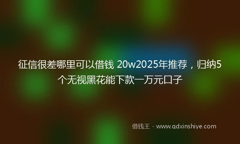 征信很差哪里可以借钱 20w2025年推荐，归纳5个无视黑花能下款一万元口子
