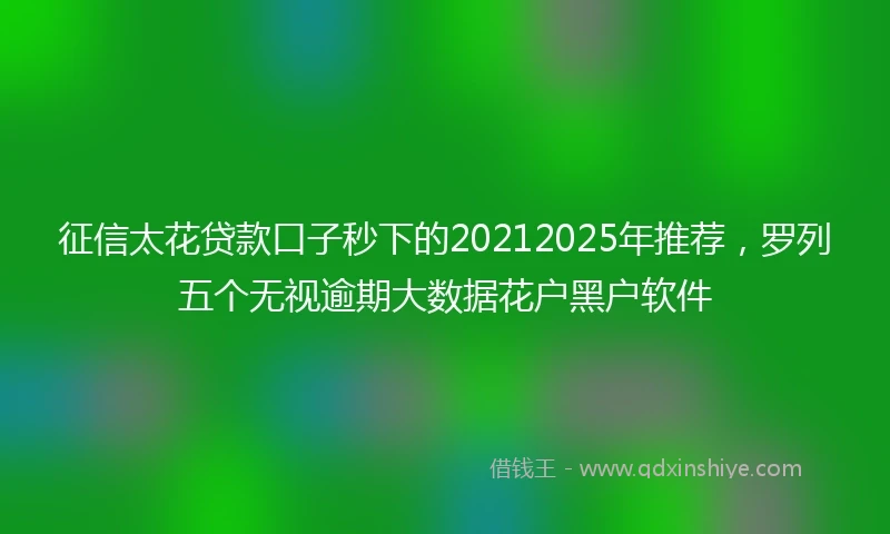 征信太花贷款口子秒下的20212025年推荐，罗列五个无视逾期大数据花户黑户软件