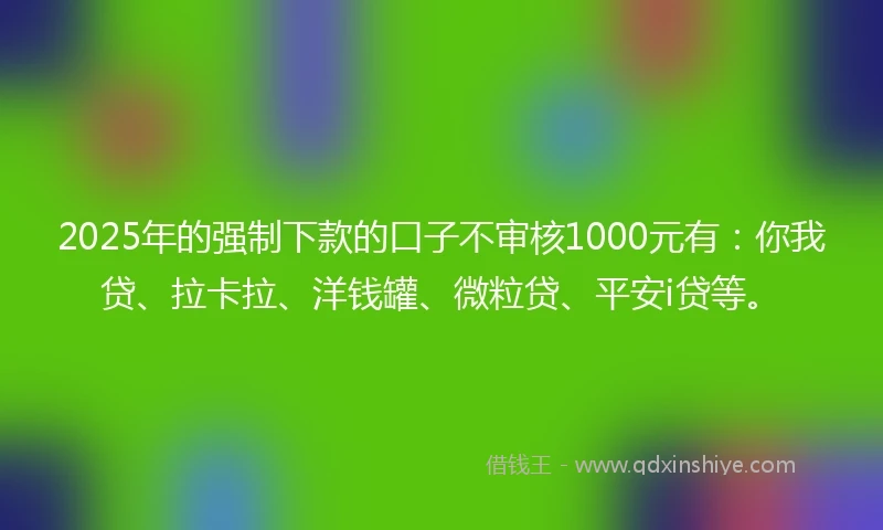 2025年的强制下款的口子不审核1000元有：你我贷、拉卡拉、洋钱罐、微粒贷、平安i贷等。