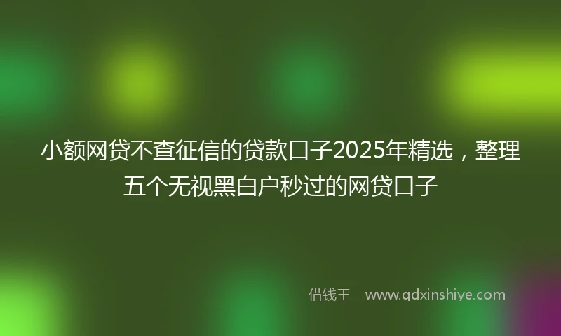 小额网贷不查征信的贷款口子2025年精选，整理五个无视黑白户秒过的网贷口子