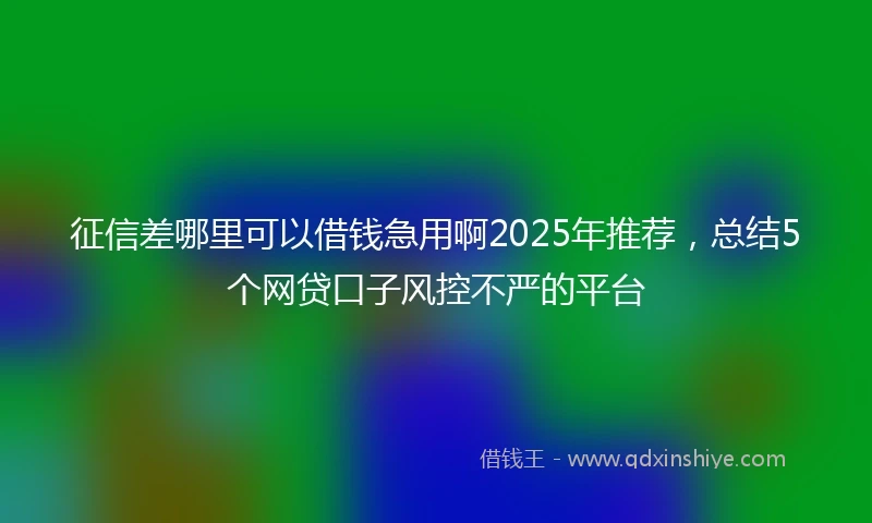 征信差哪里可以借钱急用啊2025年推荐，总结5个网贷口子风控不严的平台