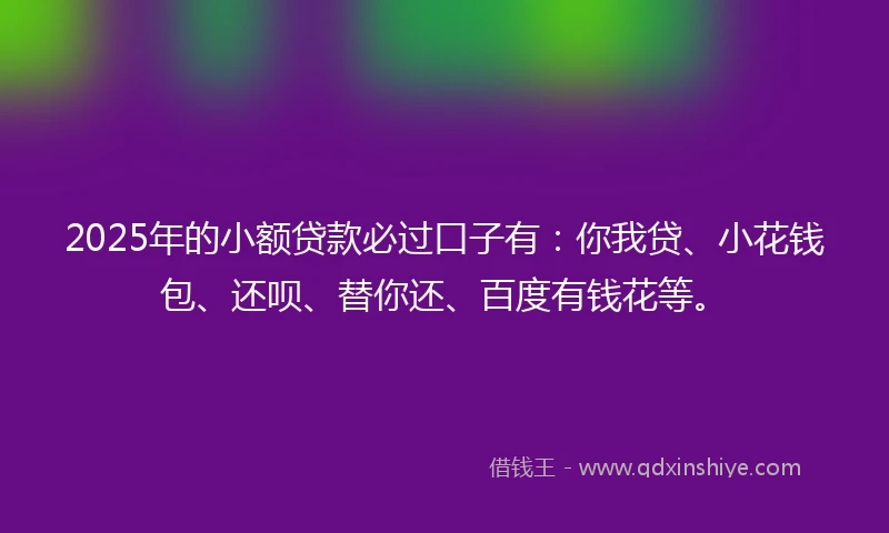 2025年的小额贷款必过口子有：你我贷、小花钱包、还呗、替你还、百度有钱花等。