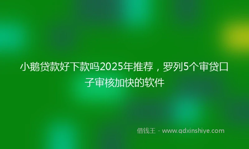 小鹅贷款好下款吗2025年推荐，罗列5个审贷口子审核加快的软件