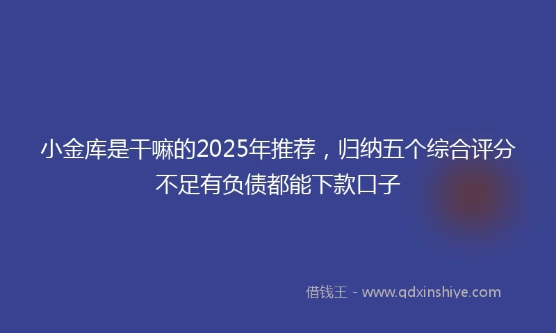 小金库是干嘛的2025年推荐，归纳五个综合评分不足有负债都能下款口子