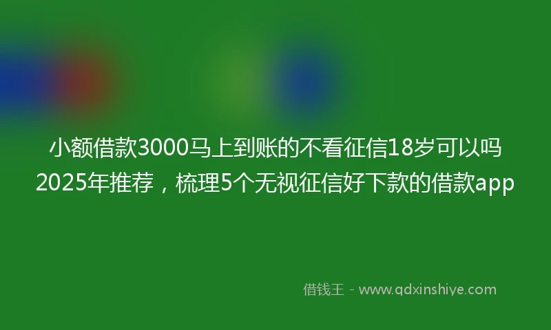 小额借款3000马上到账的不看征信18岁可以吗2025年推荐，梳理5个无视征信好下款的借款app