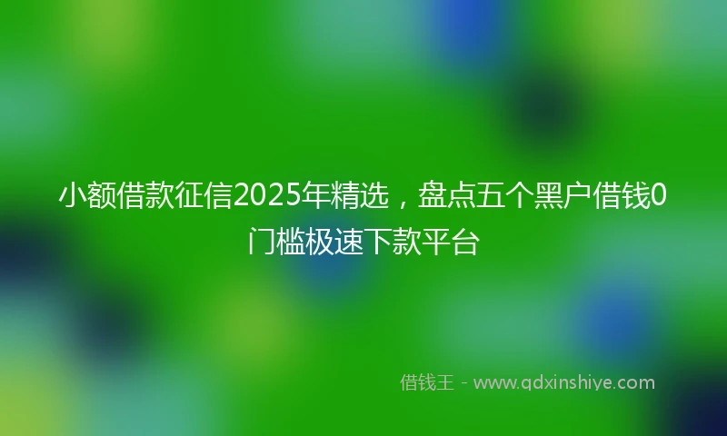 小额借款征信2025年精选，盘点五个黑户借钱0门槛极速下款平台