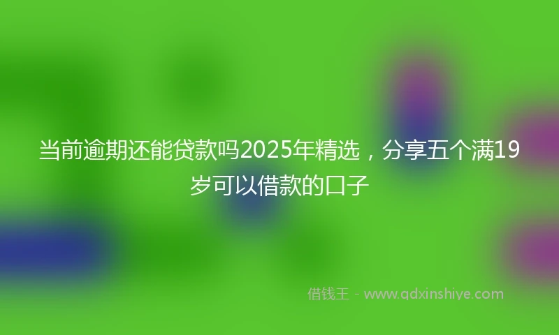 当前逾期还能贷款吗2025年精选，分享五个满19岁可以借款的口子