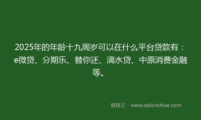 2025年的年龄十九周岁可以在什么平台贷款有：e微贷、分期乐、替你还、滴水贷、中原消费金融等。