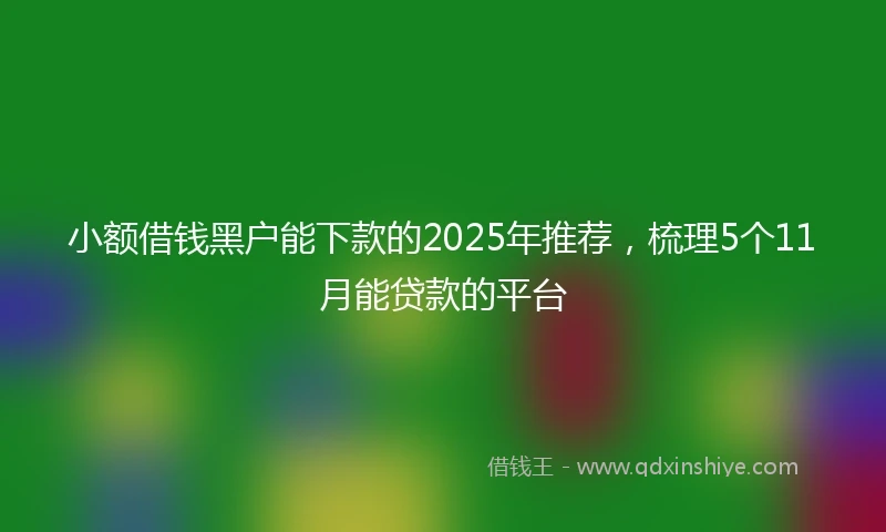 小额借钱黑户能下款的2025年推荐，梳理5个11月能贷款的平台