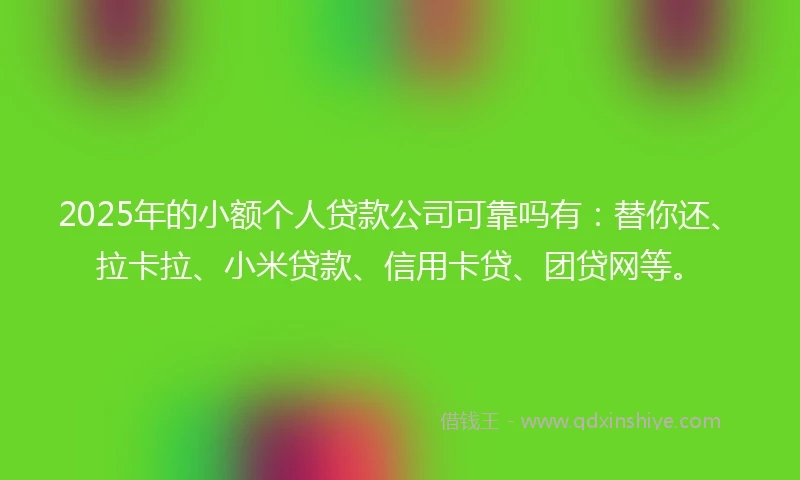 2025年的小额个人贷款公司可靠吗有：替你还、拉卡拉、小米贷款、信用卡贷、团贷网等。