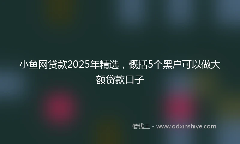 小鱼网贷款2025年精选，概括5个黑户可以做大额贷款口子