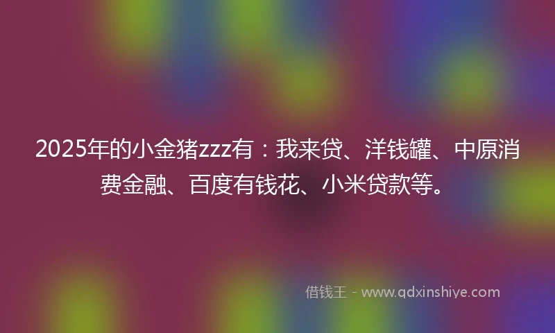 2025年的小金猪zzz有：我来贷、洋钱罐、中原消费金融、百度有钱花、小米贷款等。