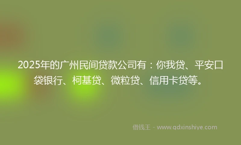 2025年的广州民间贷款公司有：你我贷、平安口袋银行、柯基贷、微粒贷、信用卡贷等。
