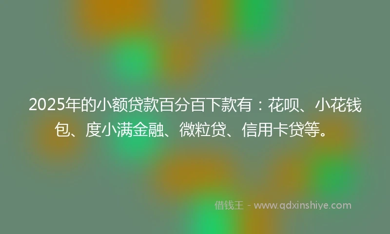 2025年的小额贷款百分百下款有：花呗、小花钱包、度小满金融、微粒贷、信用卡贷等。