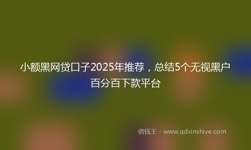 小额黑网贷口子2025年推荐，总结5个无视黑户百分百下款平台