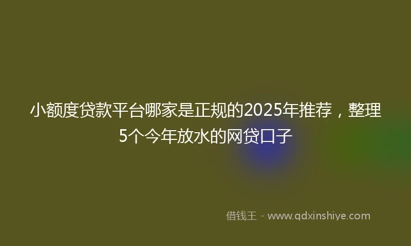 小额度贷款平台哪家是正规的2025年推荐，整理5个今年放水的网贷口子