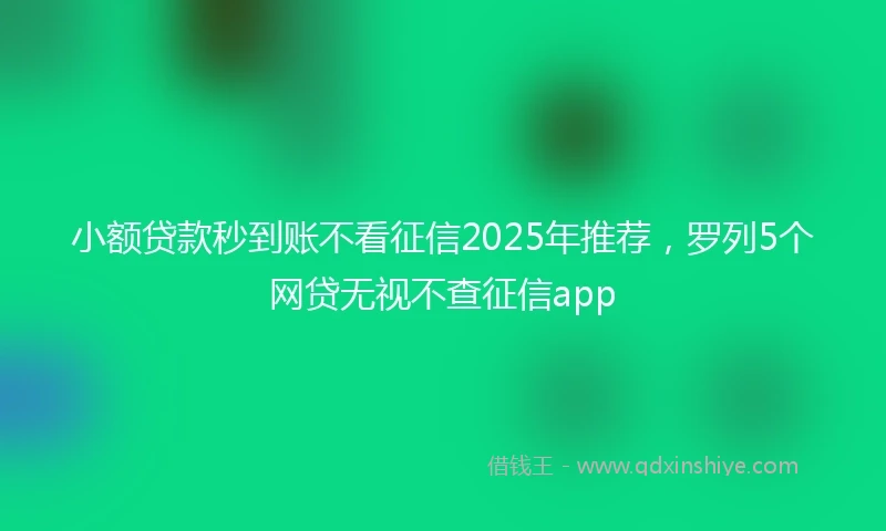 小额贷款秒到账不看征信2025年推荐，罗列5个网贷无视不查征信app