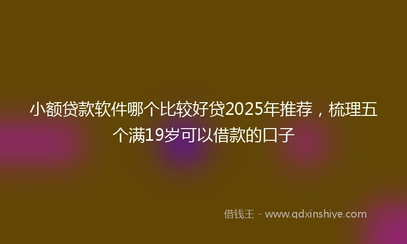 小额贷款软件哪个比较好贷2025年推荐，梳理五个满19岁可以借款的口子