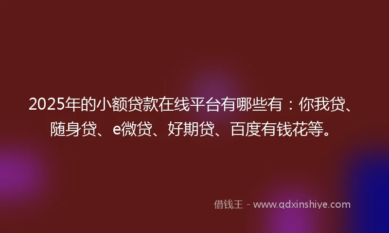 2025年的小额贷款在线平台有哪些有：你我贷、随身贷、e微贷、好期贷、百度有钱花等。