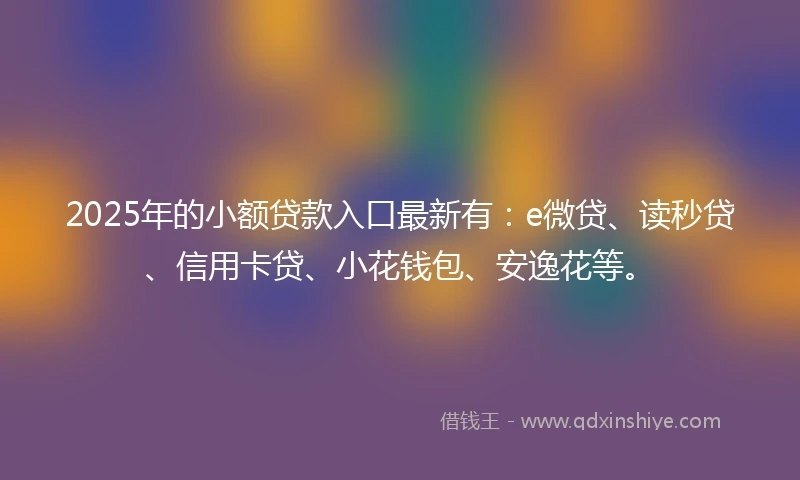 2025年的小额贷款入口最新有：e微贷、读秒贷、信用卡贷、小花钱包、安逸花等。