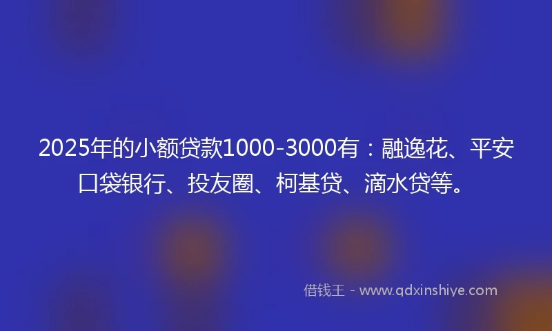 2025年的小额贷款1000-3000有：融逸花、平安口袋银行、投友圈、柯基贷、滴水贷等。