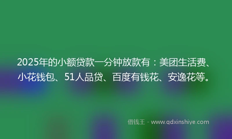 2025年的小额贷款一分钟放款有：美团生活费、小花钱包、51人品贷、百度有钱花、安逸花等。