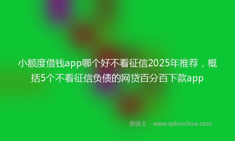 小额度借钱app哪个好不看征信2025年推荐，概括5个不看征信负债的网贷百分百下款app