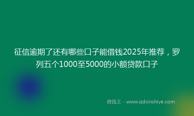 征信逾期了还有哪些口子能借钱2025年推荐，罗列五个1000至5000的小额贷款口子