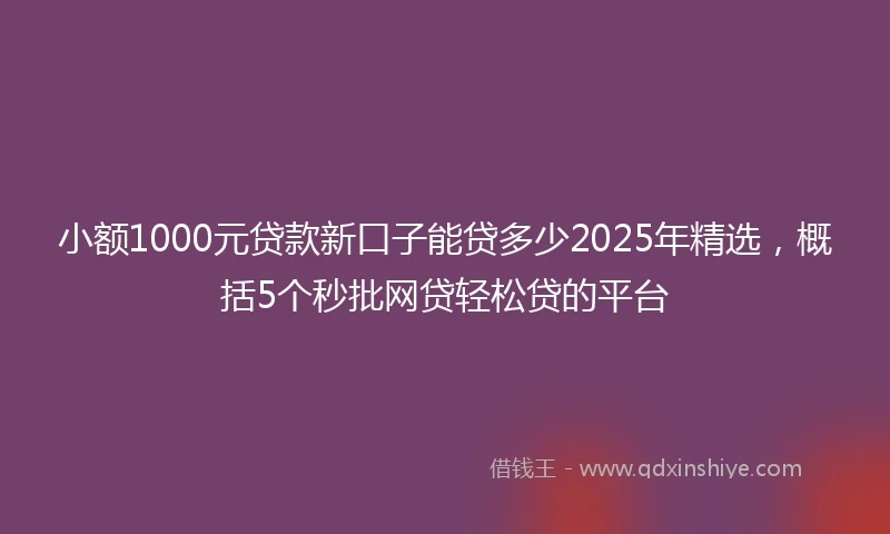 小额1000元贷款新口子能贷多少2025年精选，概括5个秒批网贷轻松贷的平台