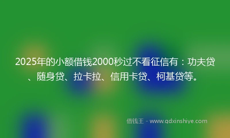 2025年的小额借钱2000秒过不看征信有：功夫贷、随身贷、拉卡拉、信用卡贷、柯基贷等。