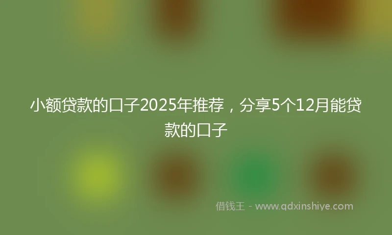 小额贷款的口子2025年推荐，分享5个12月能贷款的口子