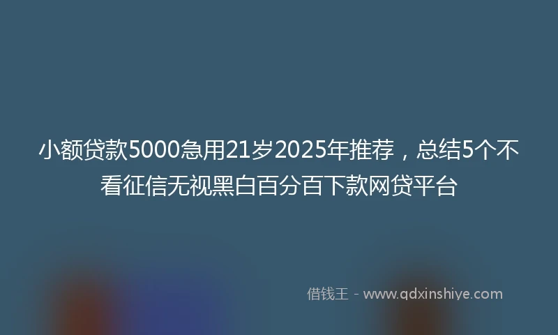 小额贷款5000急用21岁2025年推荐，总结5个不看征信无视黑白百分百下款网贷平台