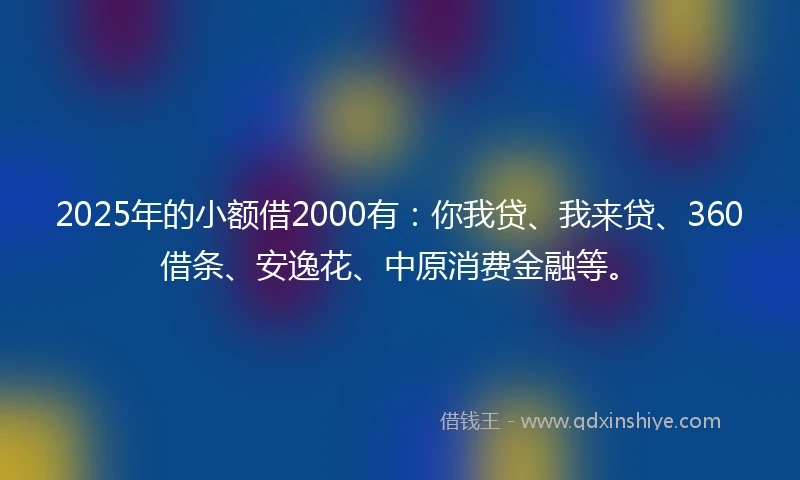 2025年的小额借2000有：你我贷、我来贷、360借条、安逸花、中原消费金融等。