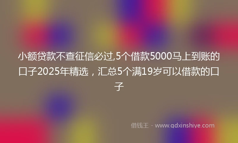 小额贷款不查征信必过,5个借款5000马上到账的口子2025年精选，汇总5个满19岁可以借款的口子