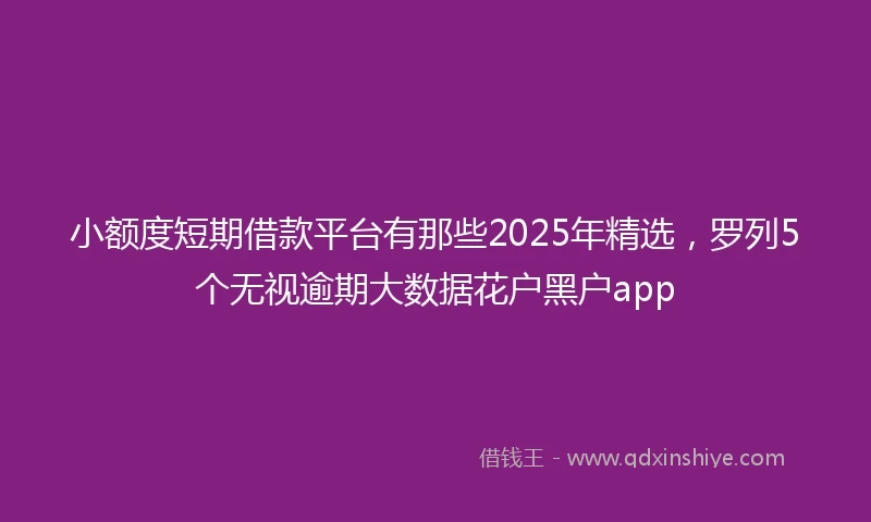 小额度短期借款平台有那些2025年精选，罗列5个无视逾期大数据花户黑户app