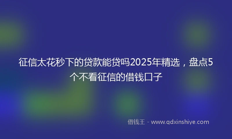 征信太花秒下的贷款能贷吗2025年精选，盘点5个不看征信的借钱口子
