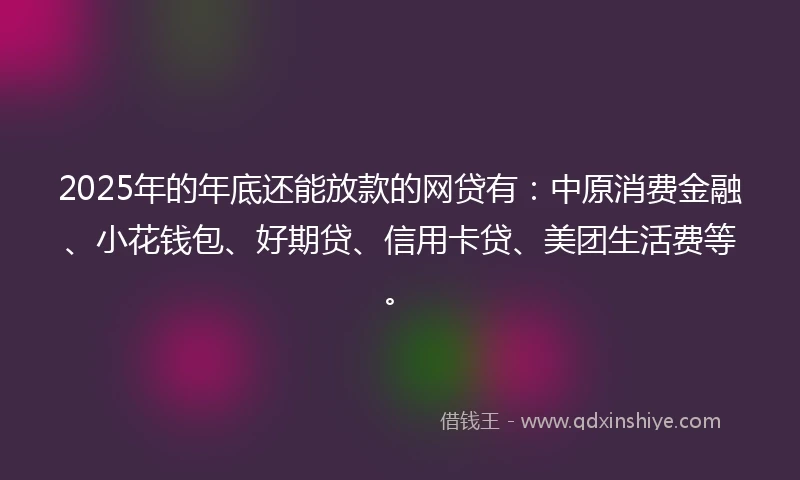 2025年的年底还能放款的网贷有：中原消费金融、小花钱包、好期贷、信用卡贷、美团生活费等。
