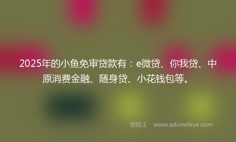 2025年的小鱼免审贷款有：e微贷、你我贷、中原消费金融、随身贷、小花钱包等。