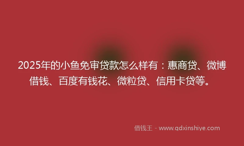 2025年的小鱼免审贷款怎么样有：惠商贷、微博借钱、百度有钱花、微粒贷、信用卡贷等。