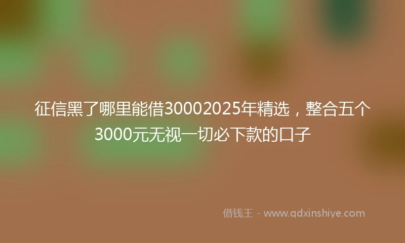 征信黑了哪里能借30002025年精选，整合五个3000元无视一切必下款的口子