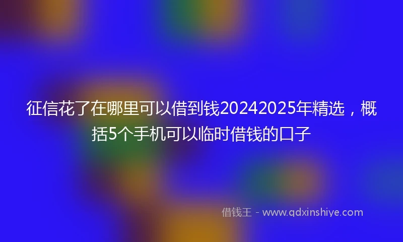 征信花了在哪里可以借到钱20242025年精选，概括5个手机可以临时借钱的口子
