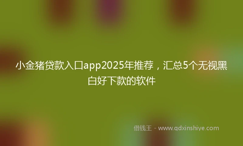 小金猪贷款入口app2025年推荐，汇总5个无视黑白好下款的软件