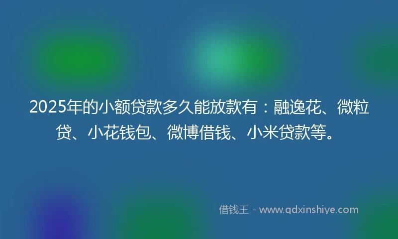 2025年的小额贷款多久能放款有：融逸花、微粒贷、小花钱包、微博借钱、小米贷款等。