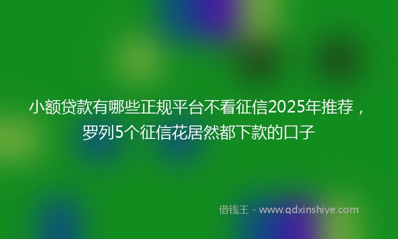 小额贷款有哪些正规平台不看征信2025年推荐，罗列5个征信花居然都下款的口子