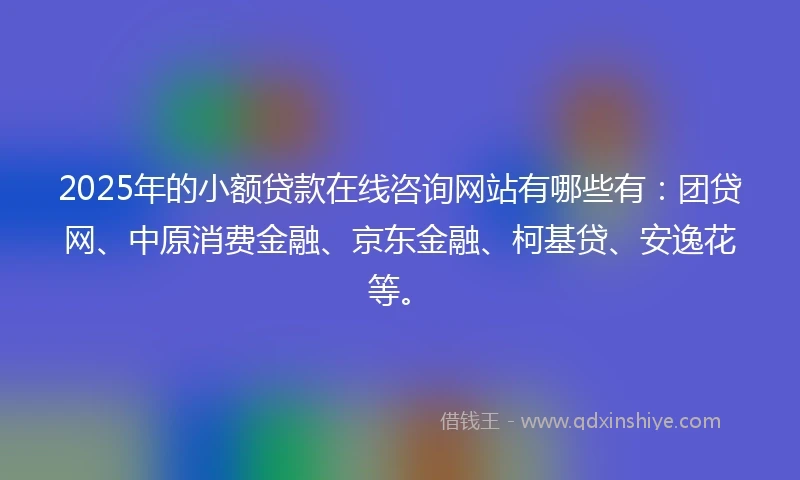 2025年的小额贷款在线咨询网站有哪些有：团贷网、中原消费金融、京东金融、柯基贷、安逸花等。