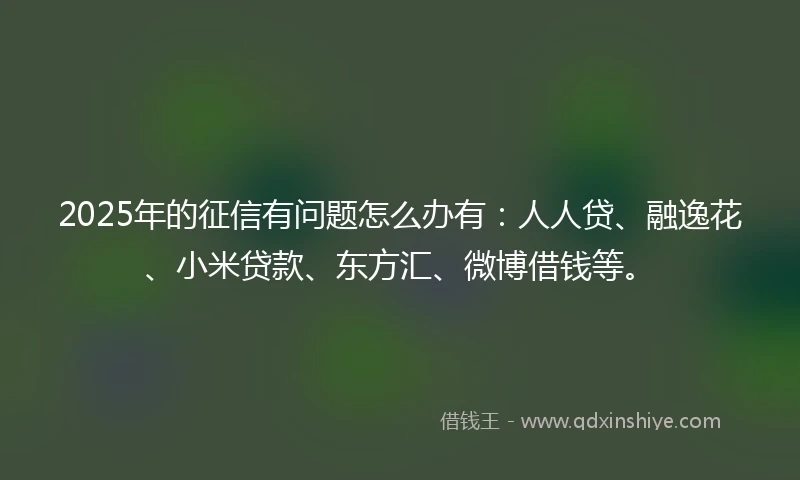 2025年的征信有问题怎么办有：人人贷、融逸花、小米贷款、东方汇、微博借钱等。